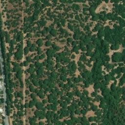 Satellite imagery of survey_point, DZ