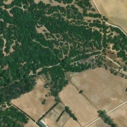 Satellite imagery of survey_point, DZ