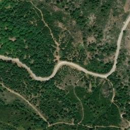 Satellite imagery of survey_point, DZ