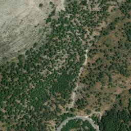 Satellite imagery of survey_point, DZ