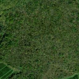 Satellite imagery of Brier Ridge, US