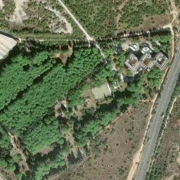 Satellite imagery of survey_point, DZ