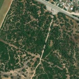 Satellite imagery of survey_point, DZ
