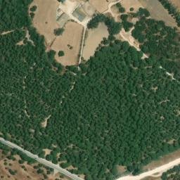 Satellite imagery of survey_point, DZ