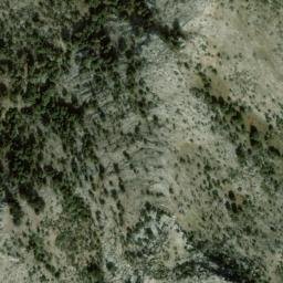 Satellite imagery of survey_point, DZ