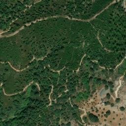 Satellite imagery of survey_point, DZ