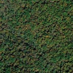 Satellite imagery of Yellow Cliff, US
