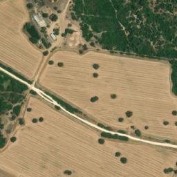 Satellite imagery of survey_point, DZ