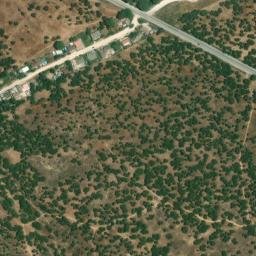 Satellite imagery of survey_point, DZ