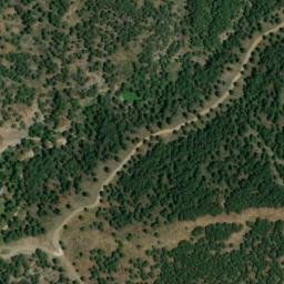 Satellite imagery of survey_point, DZ