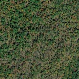 Satellite imagery of Fork Ridge, US