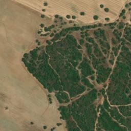 Satellite imagery of survey_point, DZ