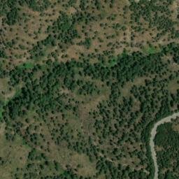 Satellite imagery of survey_point, DZ