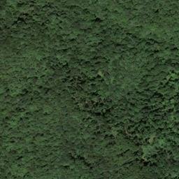 Satellite imagery of Stephens Ridge, US