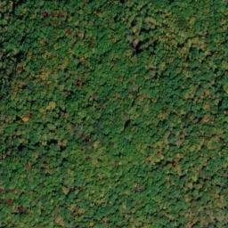 Satellite imagery of Yellow Cliff, US