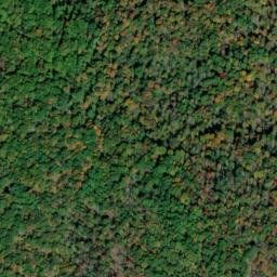 Satellite imagery of Yellow Cliff, US