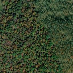 Satellite imagery of Fork Ridge, US
