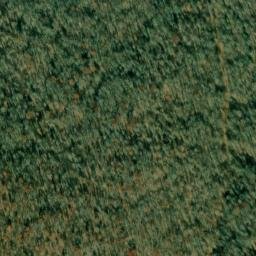 Satellite imagery of Fork Ridge, US
