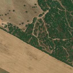 Satellite imagery of survey_point, DZ