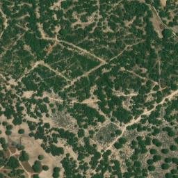 Satellite imagery of survey_point, DZ