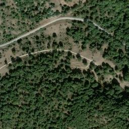 Satellite imagery of survey_point, DZ