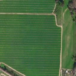 Satellite imagery of Q 1037 — NGS GT1271 — Reedley, US, US
