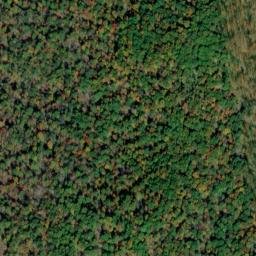 Satellite imagery of Fork Ridge, US