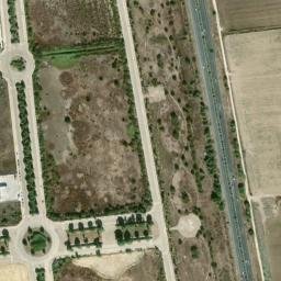 Satellite imagery of survey_point, DZ