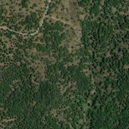 Satellite imagery of survey_point, DZ