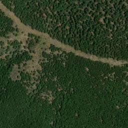 Satellite imagery of survey_point, DZ