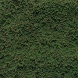 Satellite imagery of Chestnut Ridge, US