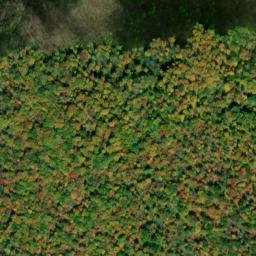 Satellite imagery of Chestnut Flats, US