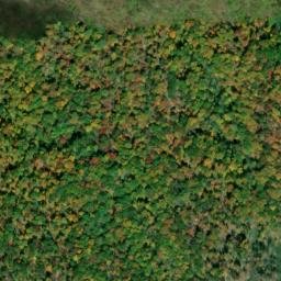 Satellite imagery of Chestnut Flats, US