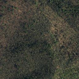 Satellite imagery of Reynolds Mine, US