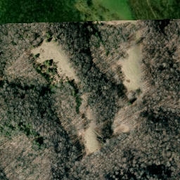 Satellite imagery of Bearpen Ridge, US