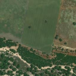 Satellite imagery of survey_point, DZ