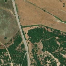 Satellite imagery of survey_point, DZ
