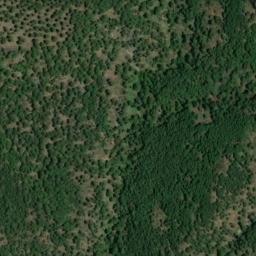 Satellite imagery of survey_point, DZ