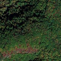 Satellite imagery of Wayne Trace Ridge, US