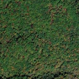 Satellite imagery of Greenwood Cliff, US