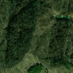 Satellite imagery of Fork Ridge, US