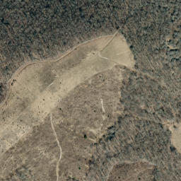 Satellite imagery of Fees Ridge, US