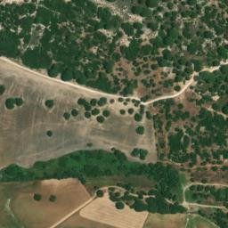 Satellite imagery of survey_point, DZ