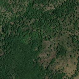Satellite imagery of survey_point, DZ