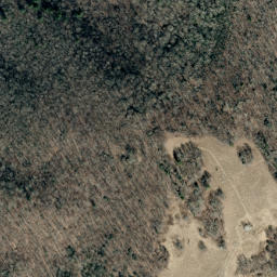 Satellite imagery of Fees Ridge, US