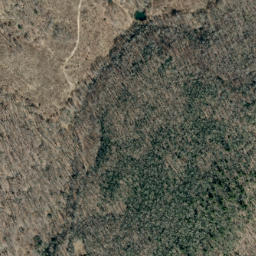 Satellite imagery of Fees Ridge, US