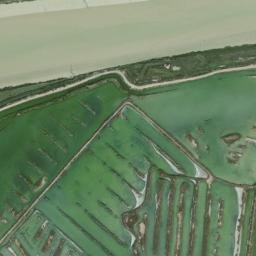 Satellite imagery of survey_point, DZ