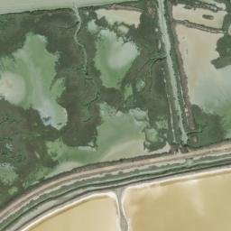 Satellite imagery of survey_point, DZ