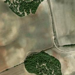 Satellite imagery of survey_point, DZ