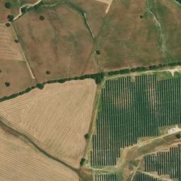 Satellite imagery of survey_point, DZ